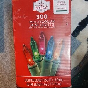 Holiday Time Festive Multicolor Mini Lights
